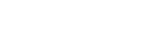 Vernus Logo